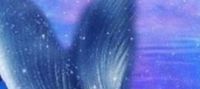 Fins (Transformations: Book 2)