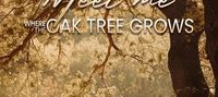 Meet Me Where the Oak Tree Grows